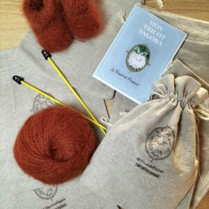 Kit Tricot des Chaussons Léon
